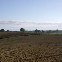 01- Paysage landais