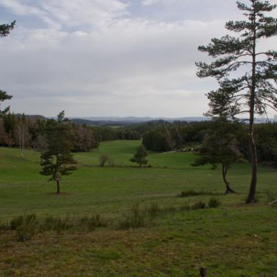 5ème jour  AUMONT-AUBRAC - NASBINALS