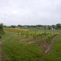 04-en Armagnac