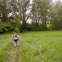05-chemin herbeux