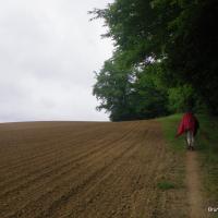 05-le long des champs