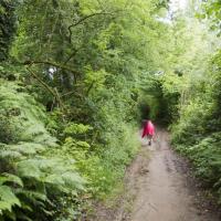 06-à l'abri dans les bois