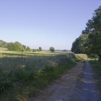 06-le chemin quitte le gave