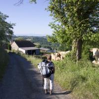 08-ferme