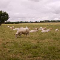 09-la campagne