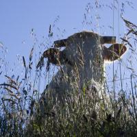 09-rencontre