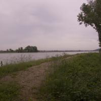 10-le Tarn vient de se jeter dans la Garonne