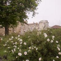 10-devant le château