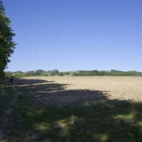 12-chemin