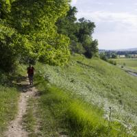 13-le long de la route