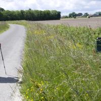14-chemin de Saint Pé