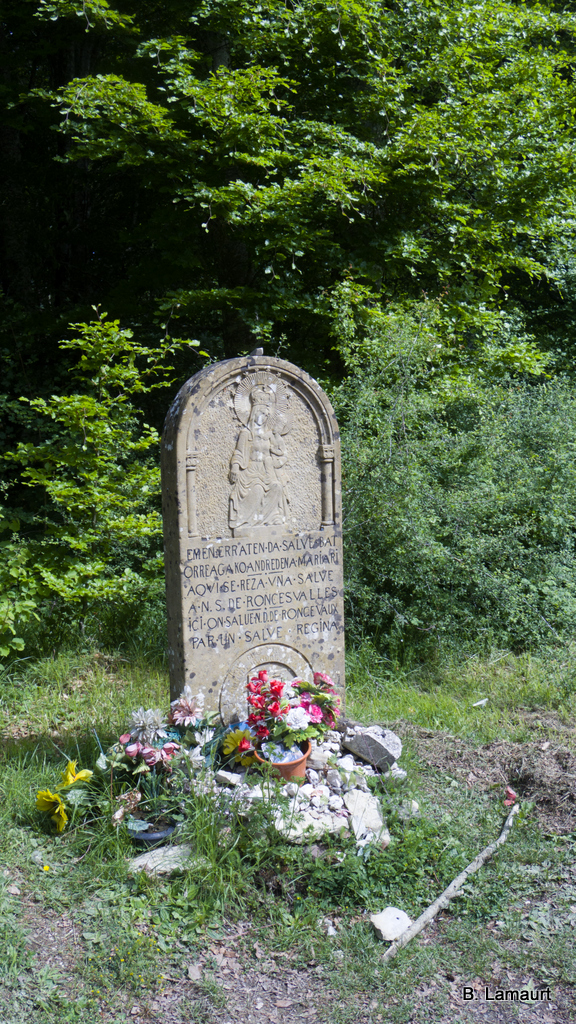 14-_IMP0770