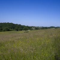 15-campagne