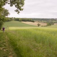 16-en chemin