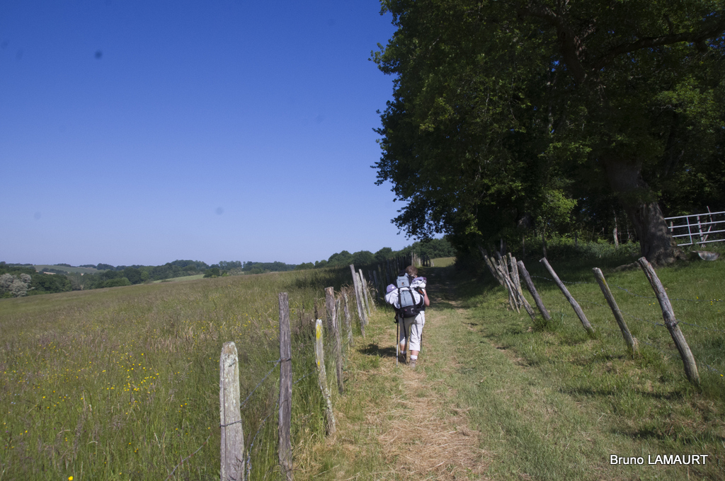 16-chemin