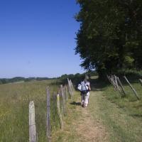 16-chemin