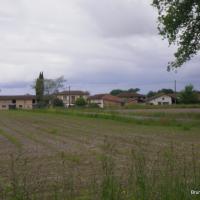 16-paysage landais