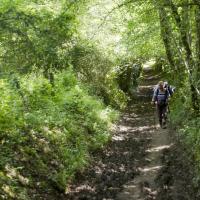 18-chemin creux