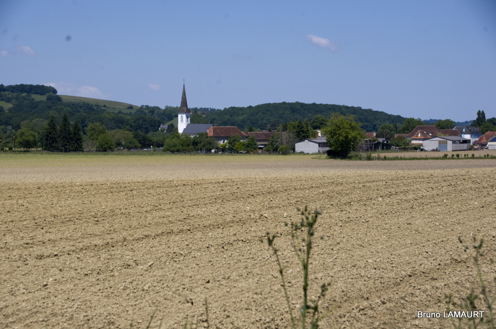 25-Charre