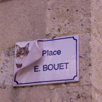 28-la ville des chats