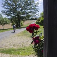 28-chemin fleuri