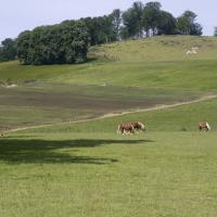 28-paysage basque