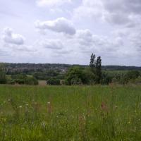 29-Nogaro
