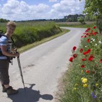 29-sentier fleuri