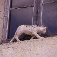 31-beaucoup de chats