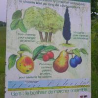 52-balisage gersois!