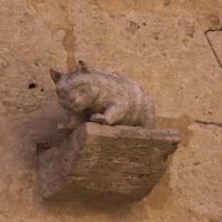 54-encore des chats
