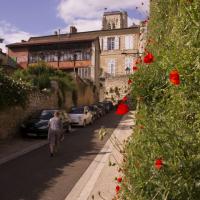 61-ruelle