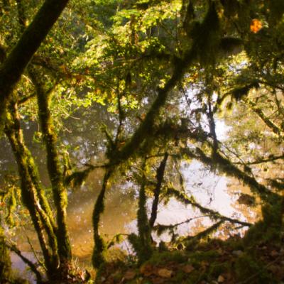 13ème jour Ste Eulalie - Marcilhac