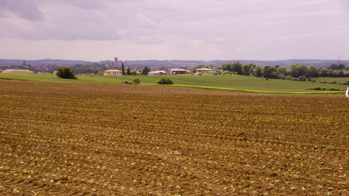 Lectoure