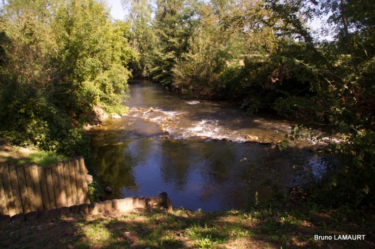 Imgp0419 2